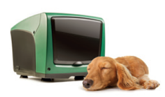 Уровень шума DAB E.sybox mini³