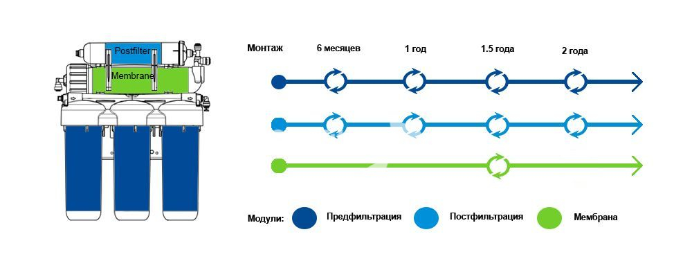 Srok_zameny_canature