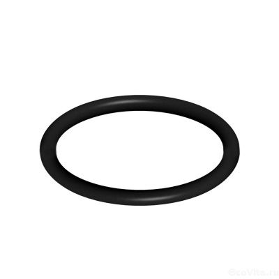 Уплотнительное кольцо (прокладка) для RF-SC-10-5/RF-SC-20-5