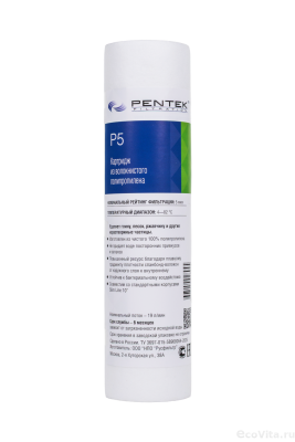 Pentek Filtration P5