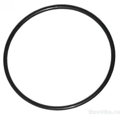 Raifil резиновые кольца для крышки FRP 4040 (end port) 100*5.5