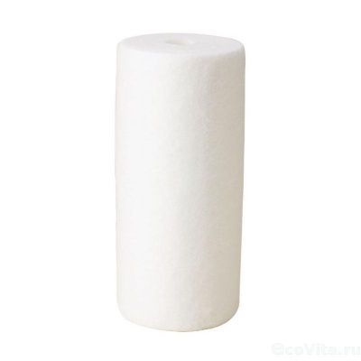 Pentair (Pentek) DGD-2501 BB