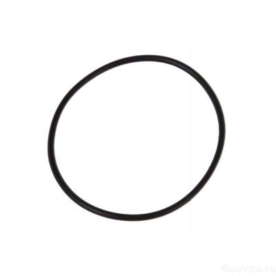 Уплотнительное кольцо для корпуса SUS 304-BFL-1-2