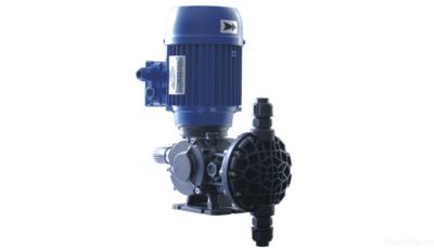 Seko Spring Elektra MS1A064C31AE00N