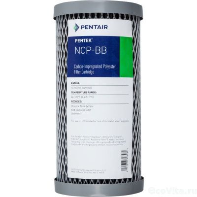 Pentair (Pentek) NCP BB