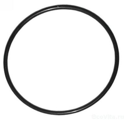 Runxun уплотнительное кольцо клапана 2.5"