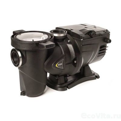 DAB EUROSWIM 150 T - IE3