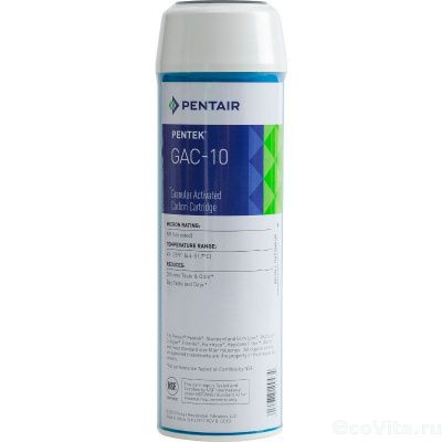 Pentair (Pentek) GAC-10