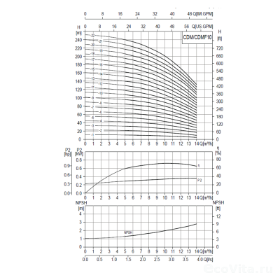 CNP CDMF 10-13 (фланец 220В)
