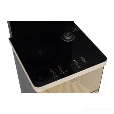 Ecotronic TB40-LE gold